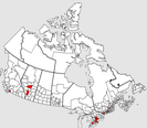 Half Of Canada Lives In Just These Counties