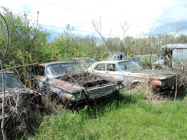 DSC00670 (Medium)