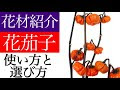 [ベスト] 色 なす 花 538032