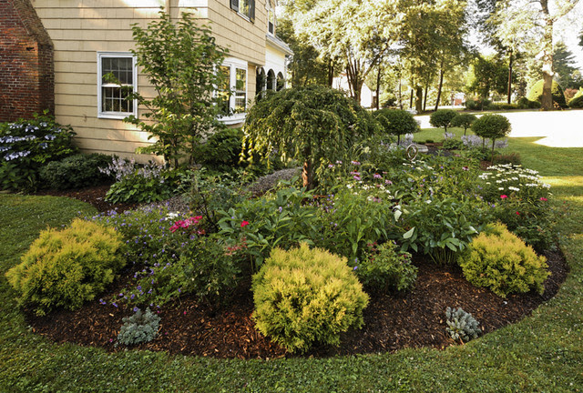 diy desert landscaping