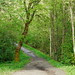P1060569-ved-Stokkbekken_1_1