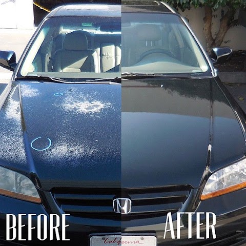 honda body and paint
