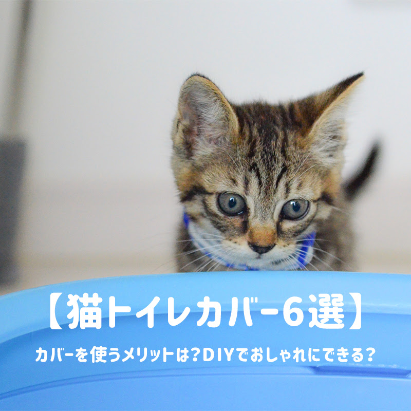 猫トイレカバー6選 カバーを使うメリットは Diyでおしゃれにできる
