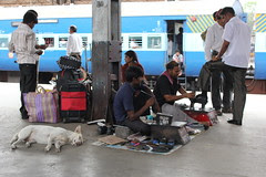 in a dogs world all dogs are equal.. fuck caste color or creed .. fuck lust and greed by firoze shakir photographerno1