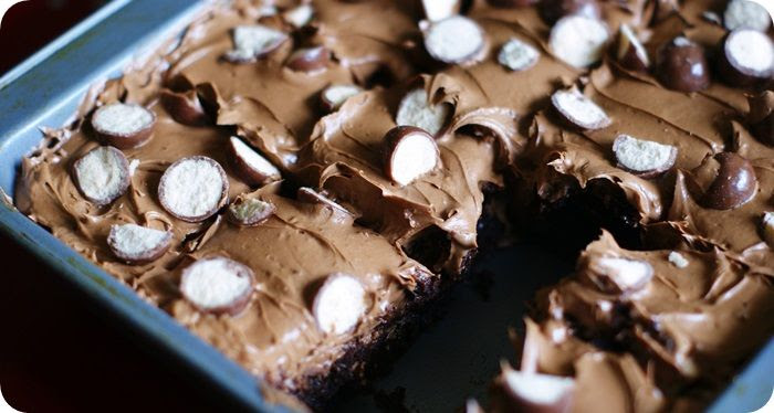 whoppers brownies frosting close photo whoppersbrowniesfrostingclose.jpg