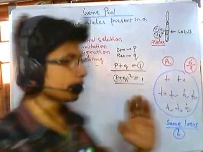 8+ Gene Pool Definition Biology References