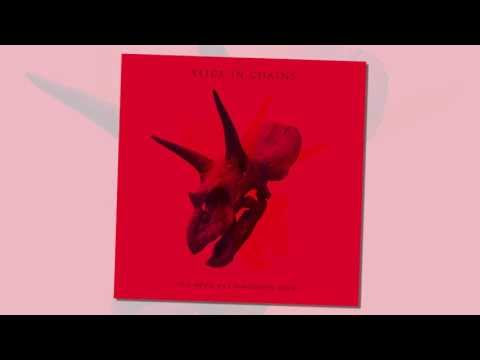 Letra de Lab Monkey por Alice in Chains traducida al español