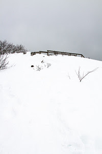 snow, stamped into a trail of sorts