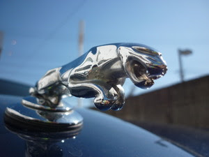 エンブレムに ジャガー を使用している自動車を知っていますか
