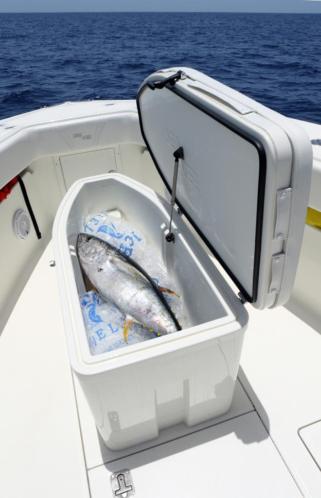 SeaVee 320 Model Info - Center Console Fishing Boat