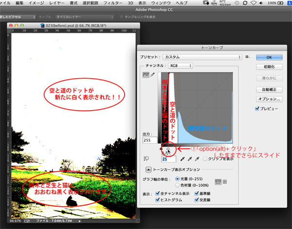 トーンカーブ で自由自在に色調補正 Photoshop 色調補正ゼミナール Shuffle By Commercial Photo