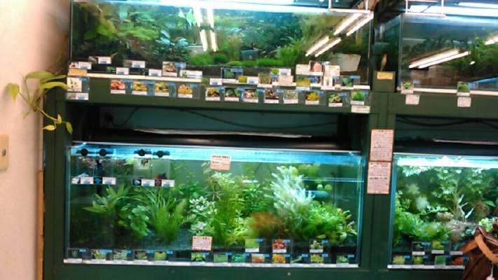 ボスの日々是笑日 H2目黒店へ 7 19 水