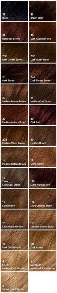  20 trendy hair color chart medium hair color auburn brown warm