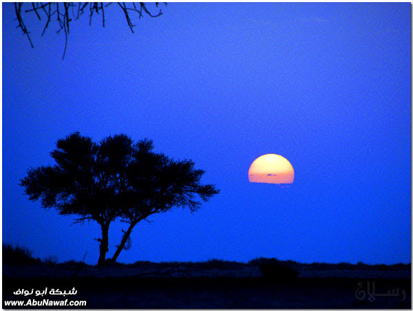 رحلتي إلى الجنوب (9)( شجرة عمود، وادي كحلا، قرية آل خلف، بئر الجاهلية)