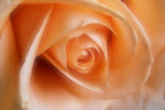 atheana's photo