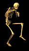 animated-skeleton-image-0053