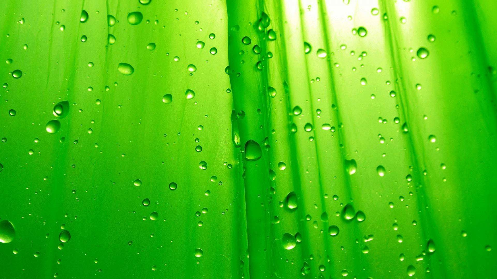 Cool Green wallpaper | 1920x1080 | #6284
