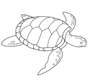 Animals coloring pages | Super Coloring