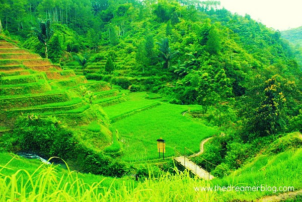 Curug Malela Little Niagara di Bandung Barat Curug Malela Little Niagara di Bandung Barat
