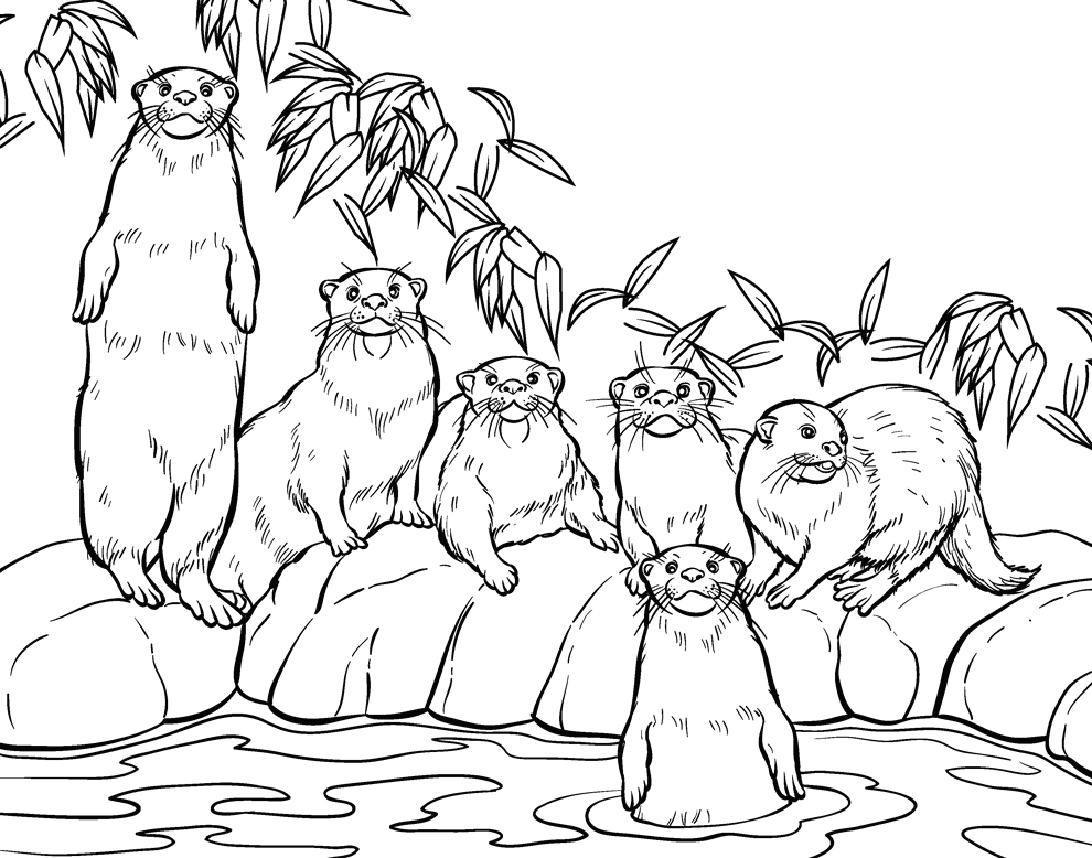 Printable Zoo Coloring Pages - Coloring Home