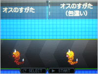 013 ビードル ポケモン Forme Atwiki アットウィキ