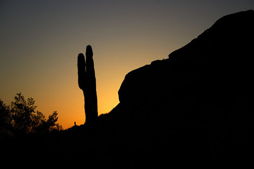 Desert Sunset