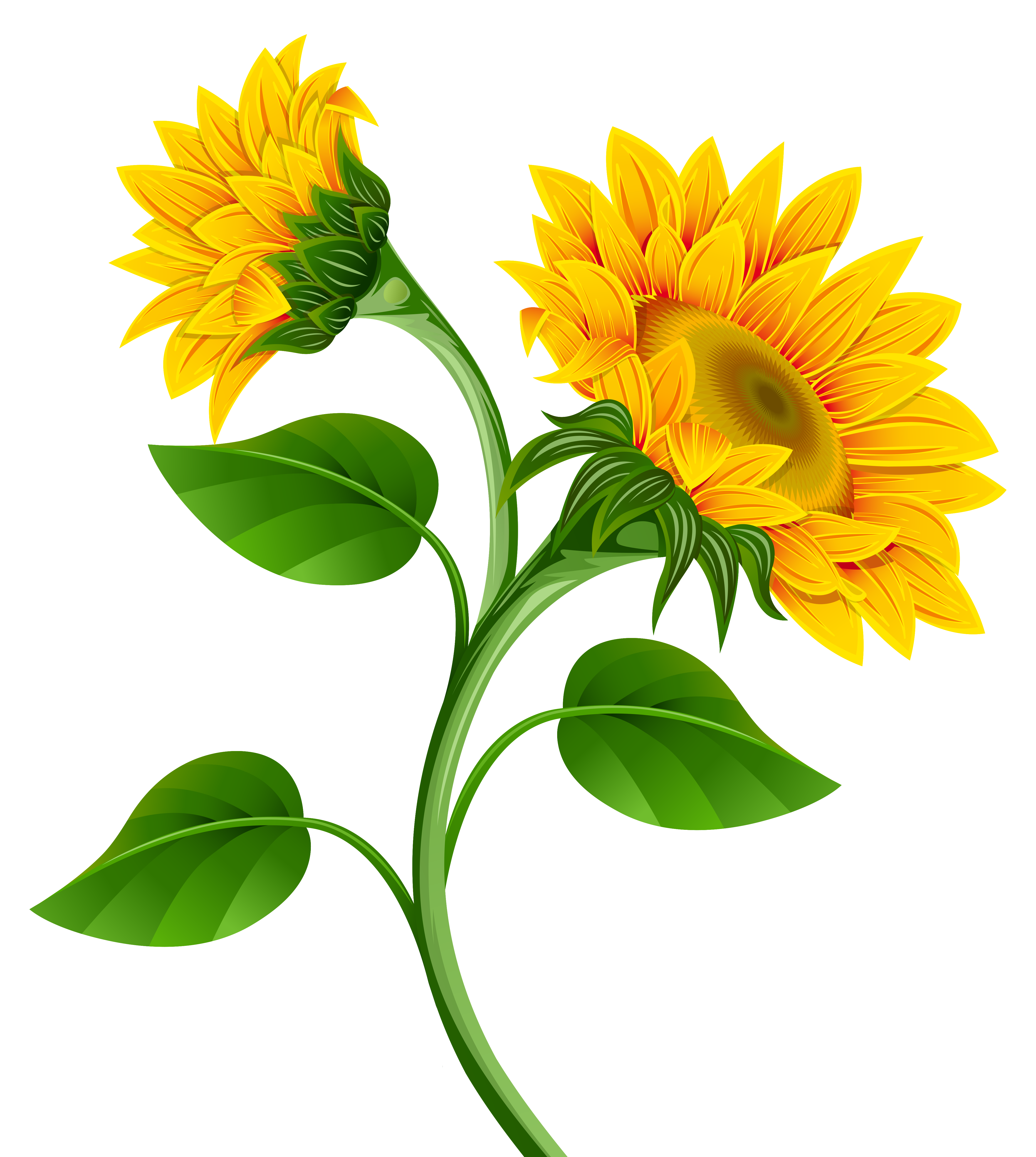 Free Free 206 Border Clipart Sunflower Png SVG PNG EPS DXF File