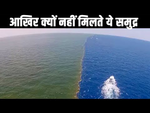 चित्र
