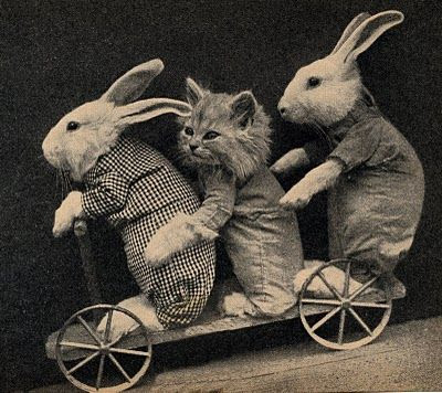 Vintage Clip Art - Bunnies & Kitten - The Graphics Fairy