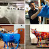 The Defenders Cow Painting : Paint a cow in under 30 minutes!in this tutorial video we in a paint loose style with a fun, easy cow painting using craft paints & a wood panel.