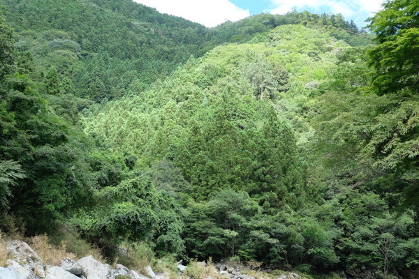 16年から始まる国民の休日 山の日 とは 8月のカレンダーは休日が多くなる 山の日の由来は もっしゅlock