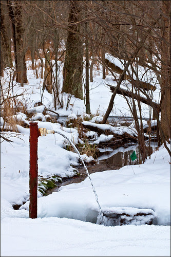 Artesian Well in Winter