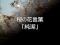 √ 純潔 花 言葉 128684