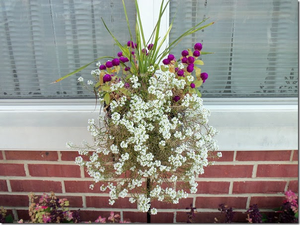 10-30-2016 GW26 (16) 10-30-2016 GW26 (16)