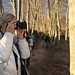 QD_IMG2011_1201