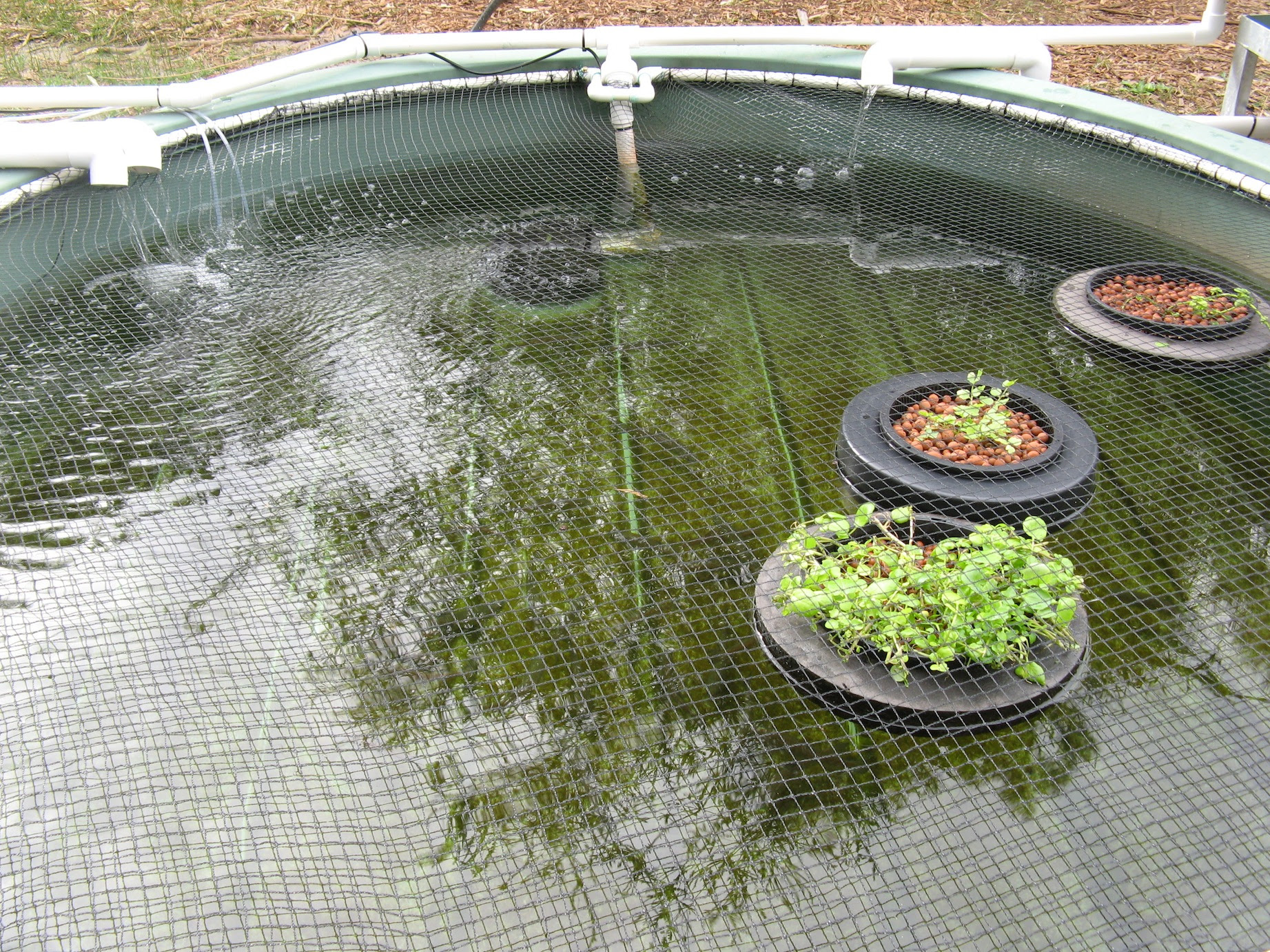 Fish tank cover fitting snuggly in place to keep the trout in and the ...