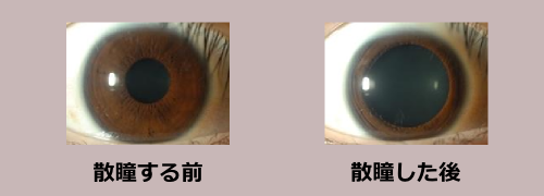 初めての患者様へ 医療法人 慶明会 宮崎中央眼科病院