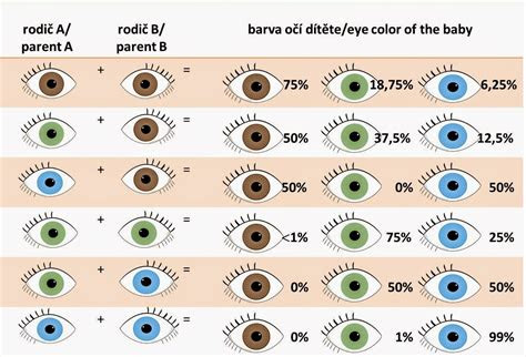  perfect days jakou barvu oci bude mit nase miminkowhat eye color our