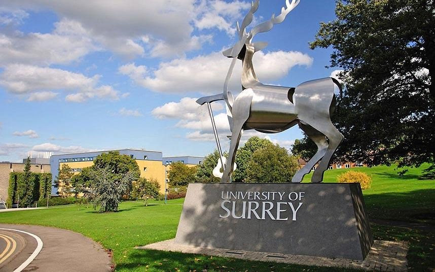 University of Surrey guide