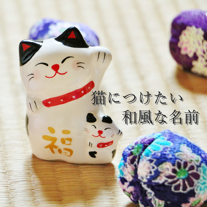 猫につけたい和風な名前一覧 オス メス別おすすめ紹介