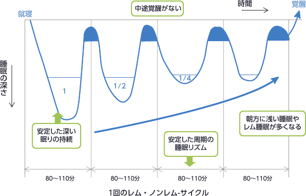 睡眠 生活習慣編 気になる病気 健康のこと 大阪がん循環器病予防センター