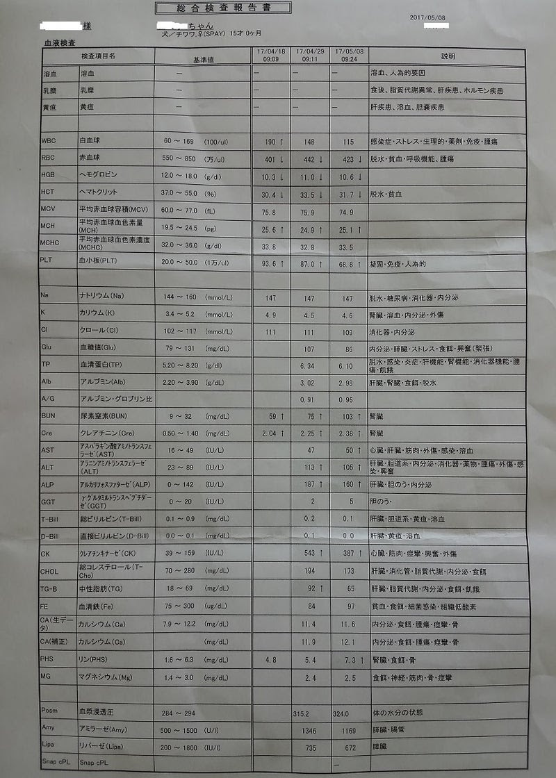 腎臓 ろ過 再吸収 なぜ