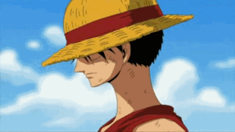 Favorite One Piece Gifs Photos R Onepiece