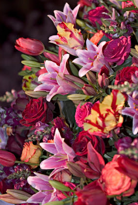 flower show canvas