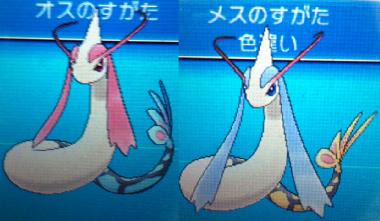 色違いに釘付け ヒンバス ミロカロス Xy