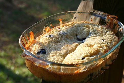 cobbler
