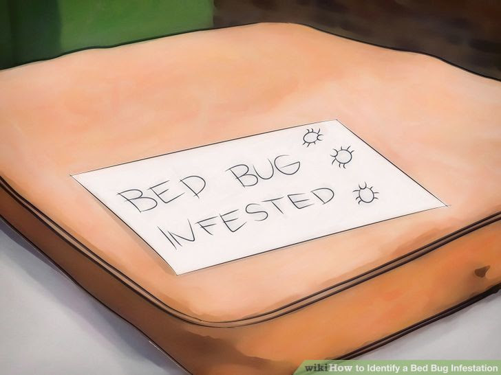 Identify a Bed Bug Infestation Step 18 Version 2.jpg