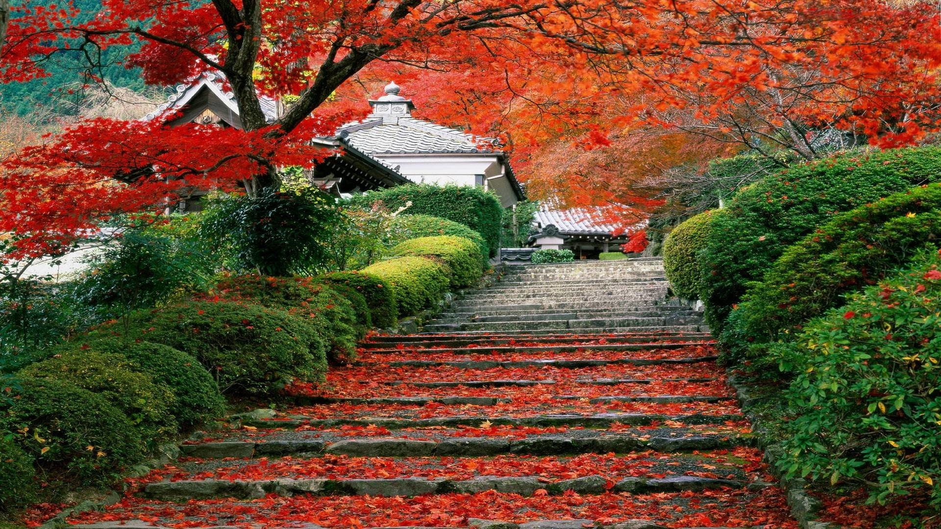 Japanese Scenery Wallpaper 52 Images