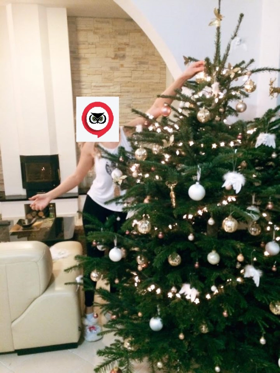 Cele Mai Sexy Ploiestence Care S Au Pozat Langa Bradul De Crăciun Foto