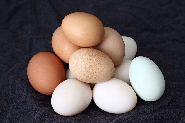 Huevos